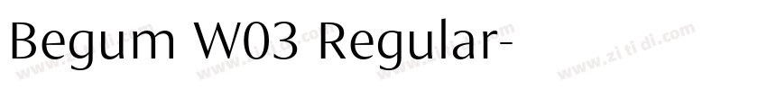 Begum W03 Regular字体转换